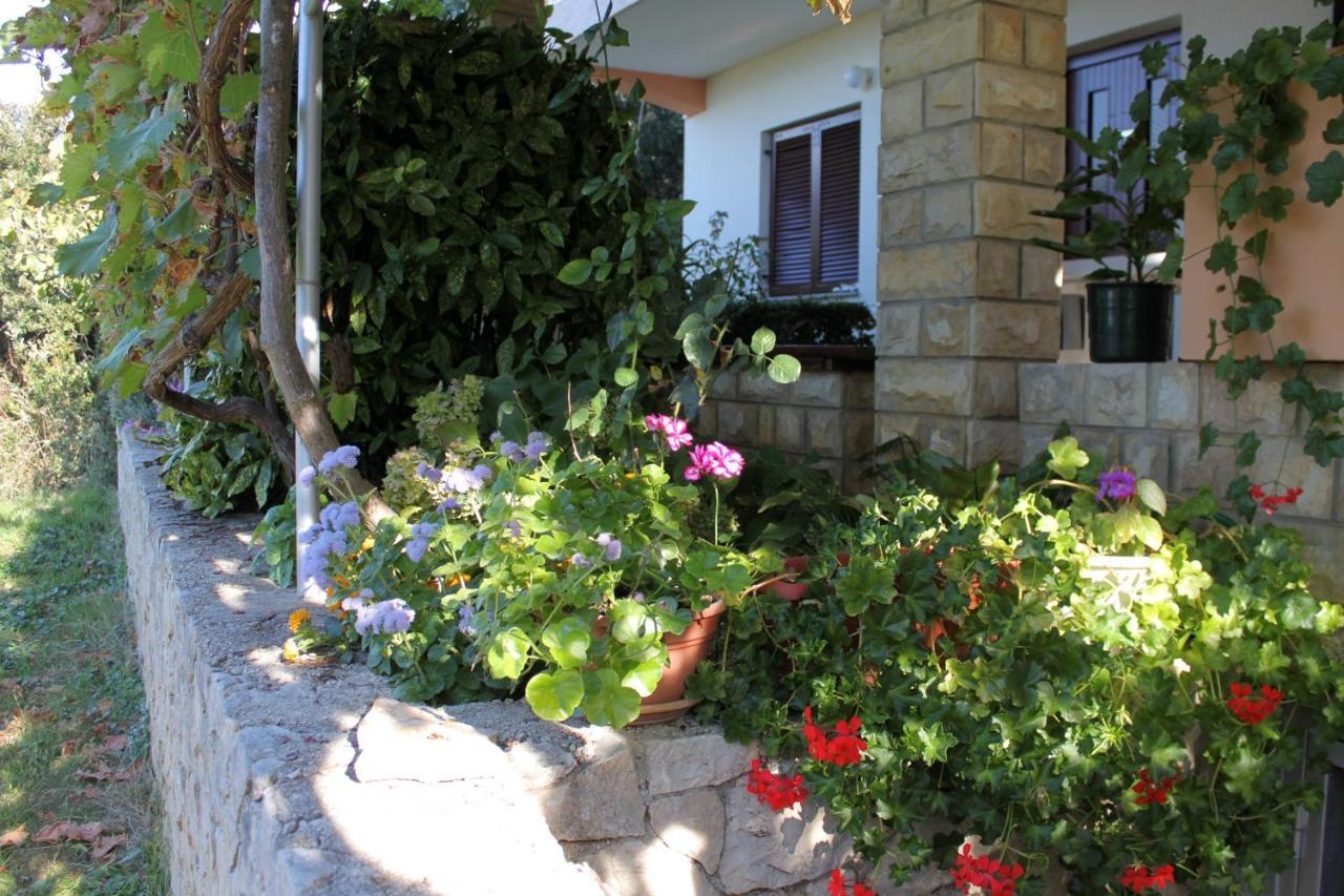 Family Friendly Seaside Apartments Kozino, Zadar - 5749 Petrčane Zewnętrze zdjęcie